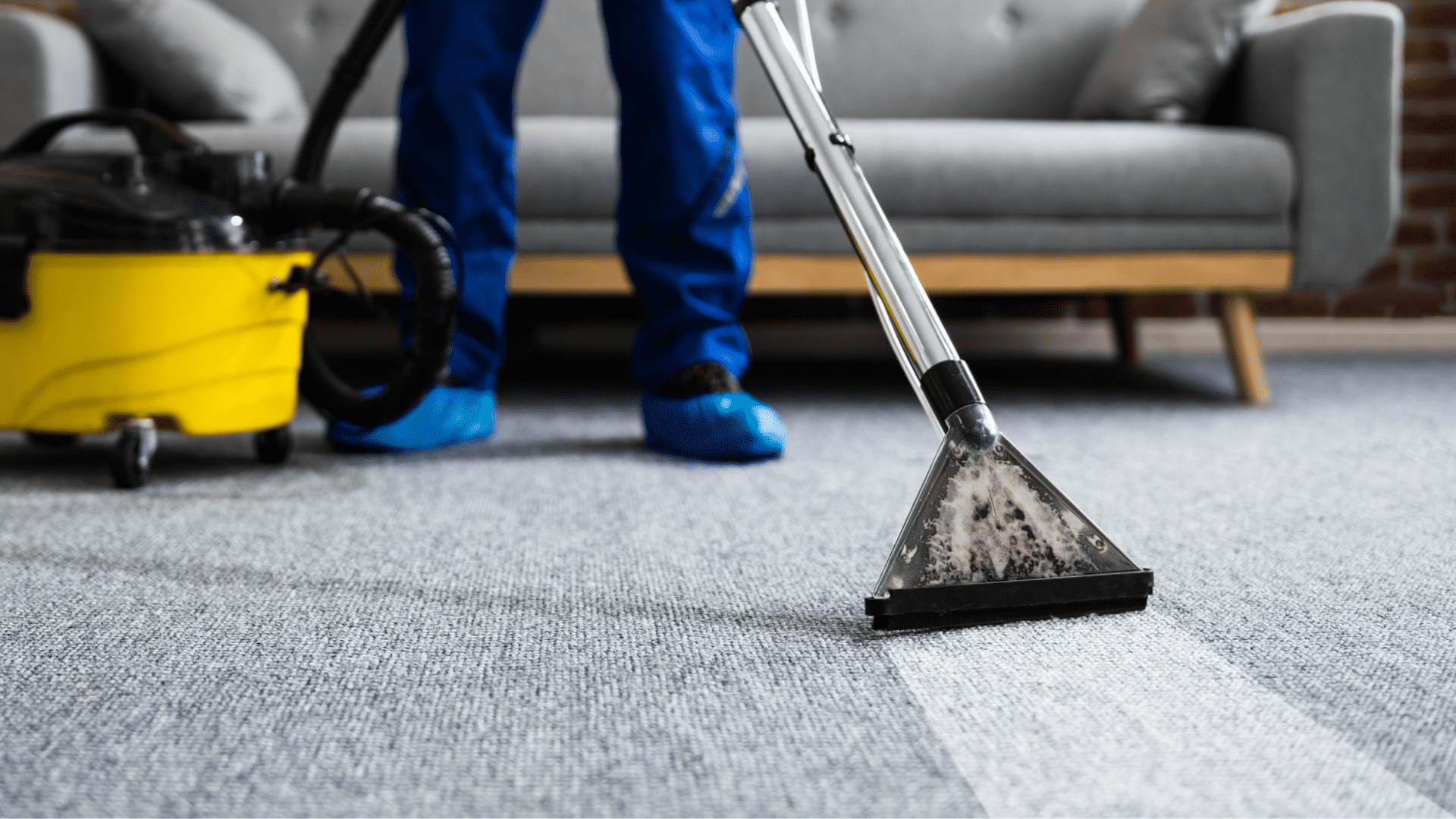 Shampouinage (Tapis/Fauteuils)